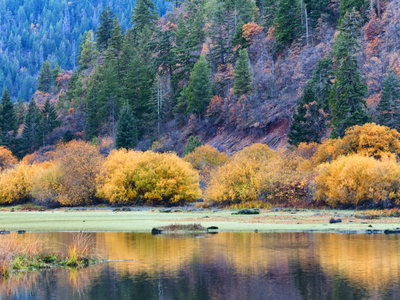Minton Hometown Properties Inc in Yreka, CA (5)