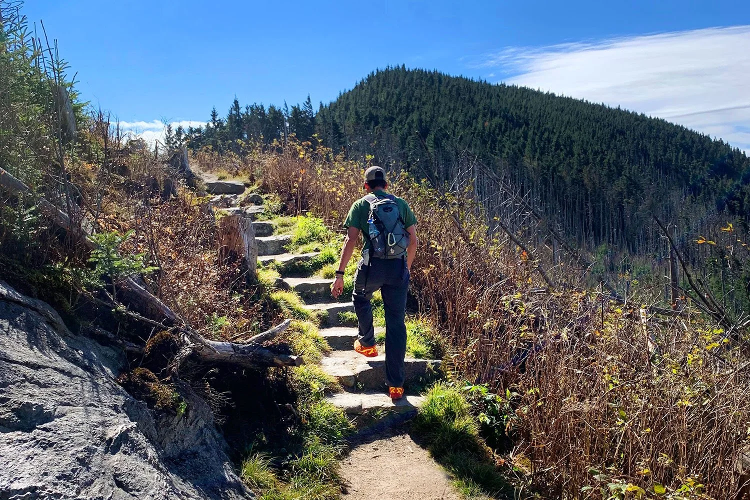 Mount Mitchell Eco Retreat in Burnsville, NC (4)