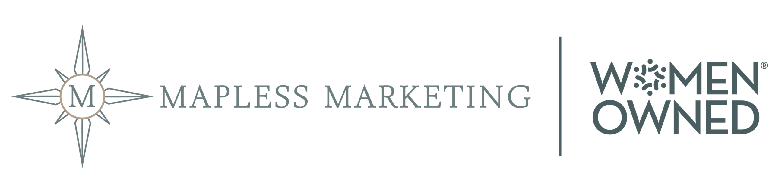 Mapless Marketing in Flower Mound, TX (3)