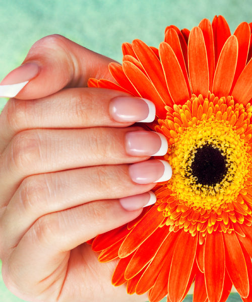 Elegant Nail Spa ( 10% Off for new customers) in Pensacola, FL (2)