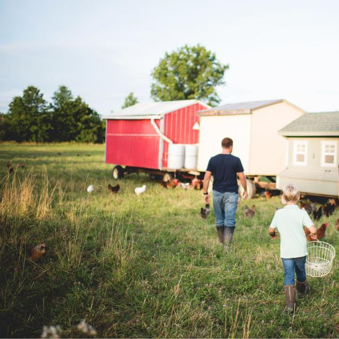 Hershberger Heritage Farm in Sellersville, PA (2)