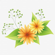 Flower Fresh Carpet & Upholstery Cleaning in Inglewood, CA (2)