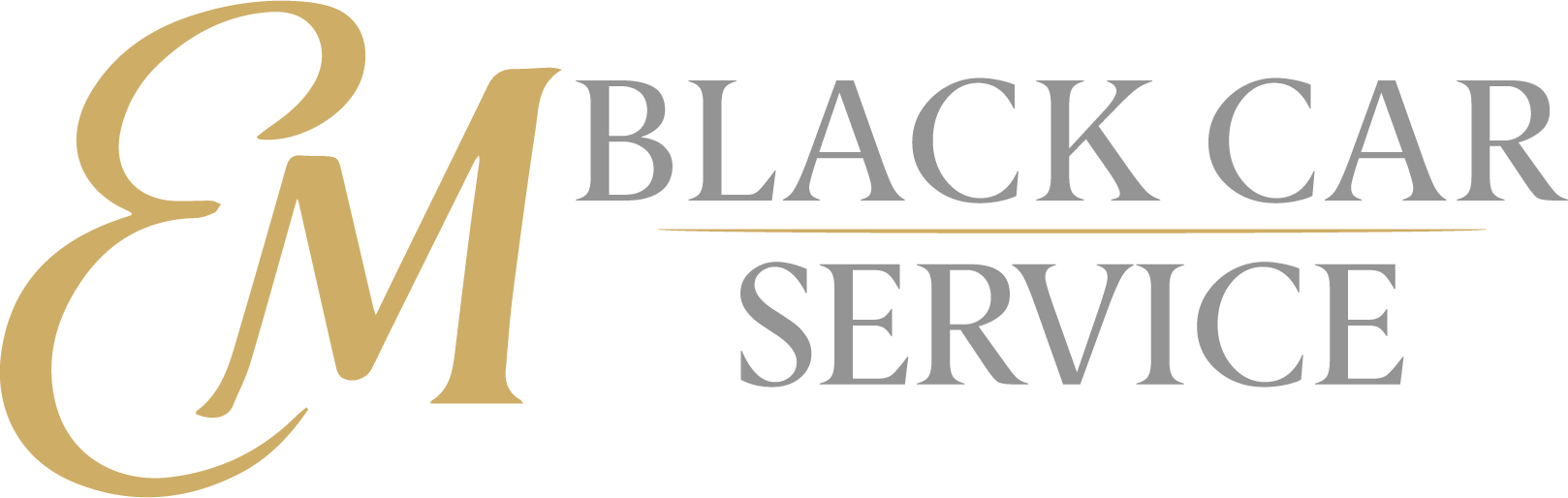 EM Black Car Service in Southfield, MI (2)