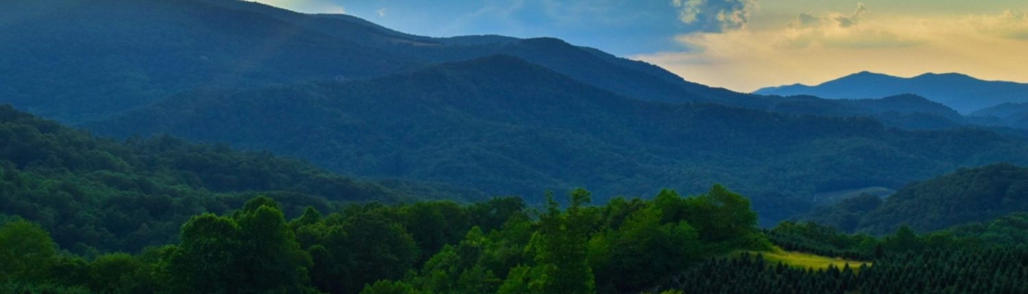 Dalton Law Office, PLLC in Brevard, NC (2)