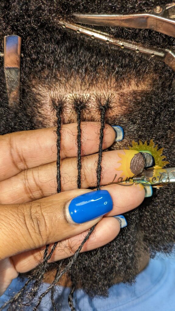 LaniLocks in Southfield, MI (2)