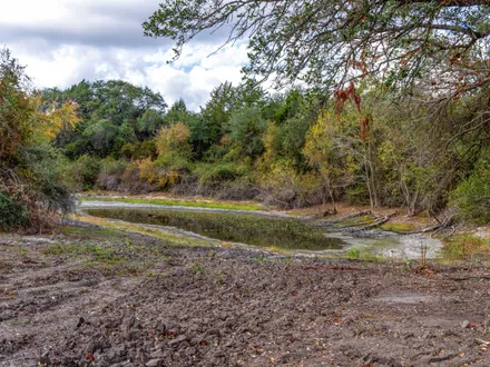 BUBELA REAL ESTATE in Weimar, TX (3)