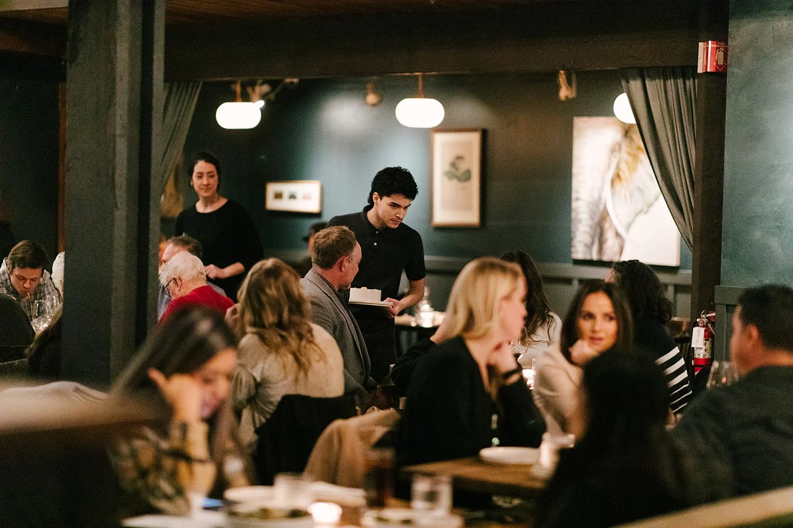 The Hideout Kitchen in Lafayette, CA (3)