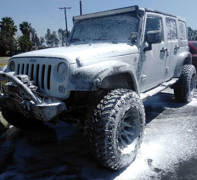 Pro Auto Spa Mobile in La Puente, CA (6)