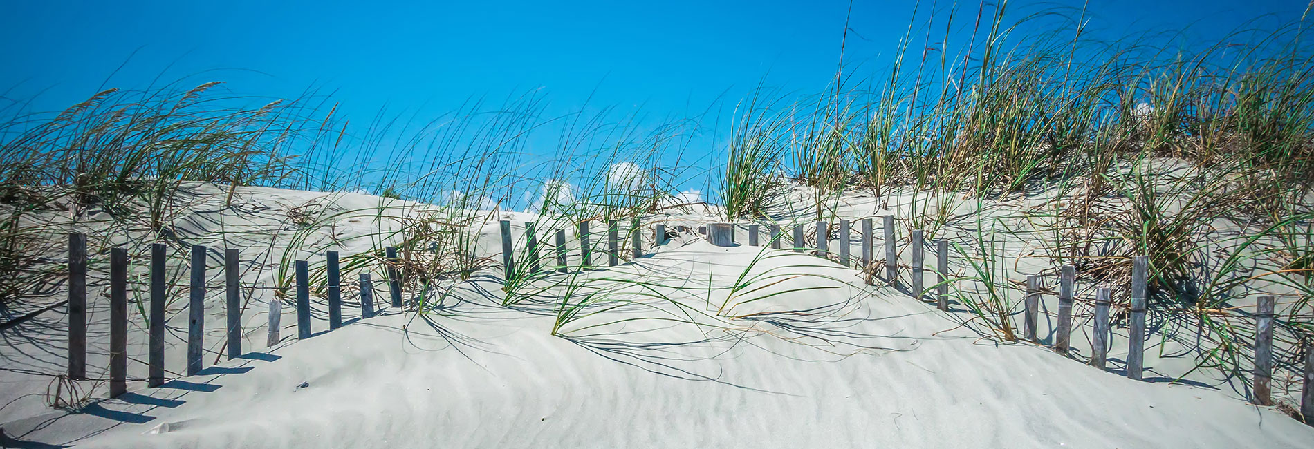 Fred Holland Realty in Folly Beach, SC
