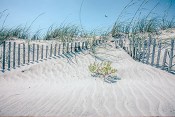Fred Holland Realty in Folly Beach, SC (6)