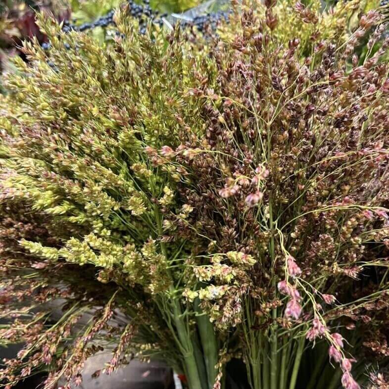 Fabulous Florals in Carpinteria, CA (4)