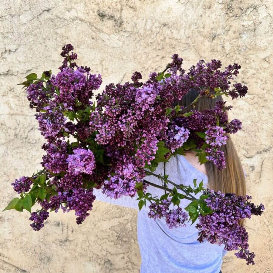 Fabulous Florals in Carpinteria, CA (5)