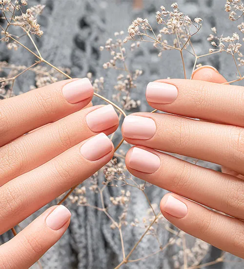 LaVANNIE NAILS in Woodbridge, VA (6)