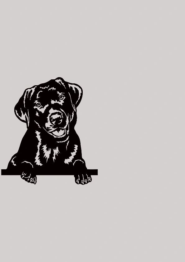 Black Dog Auto Repair in Chico, CA