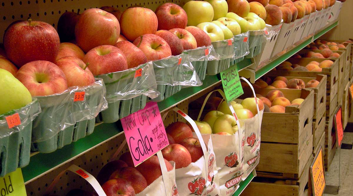 Kauffman Orchards in Bird in Hand, PA (3)