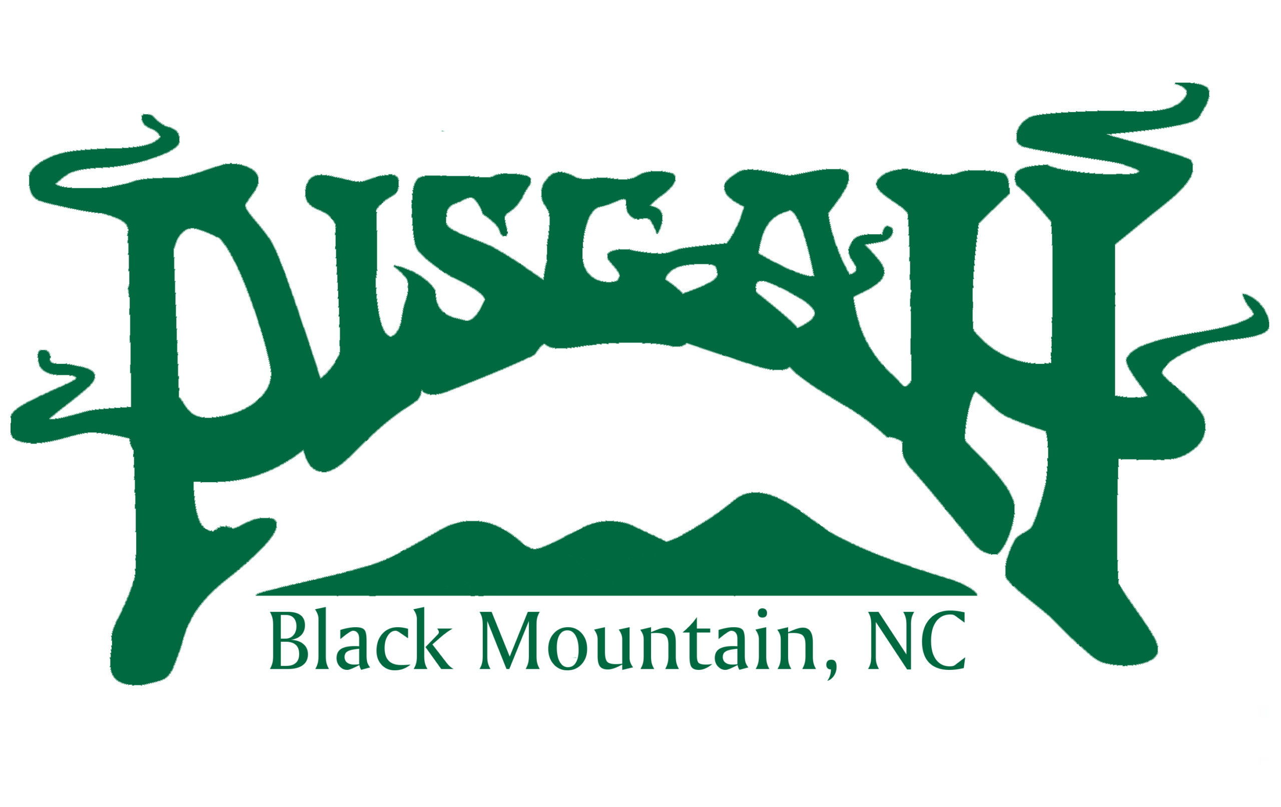Pisgah Brewing Company in Black Mountain, NC (3)
