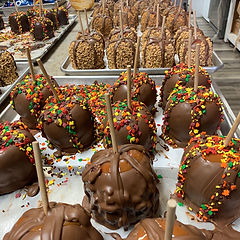 Ashley's Candy & Nut Shoppe in Ashland, OH (2)