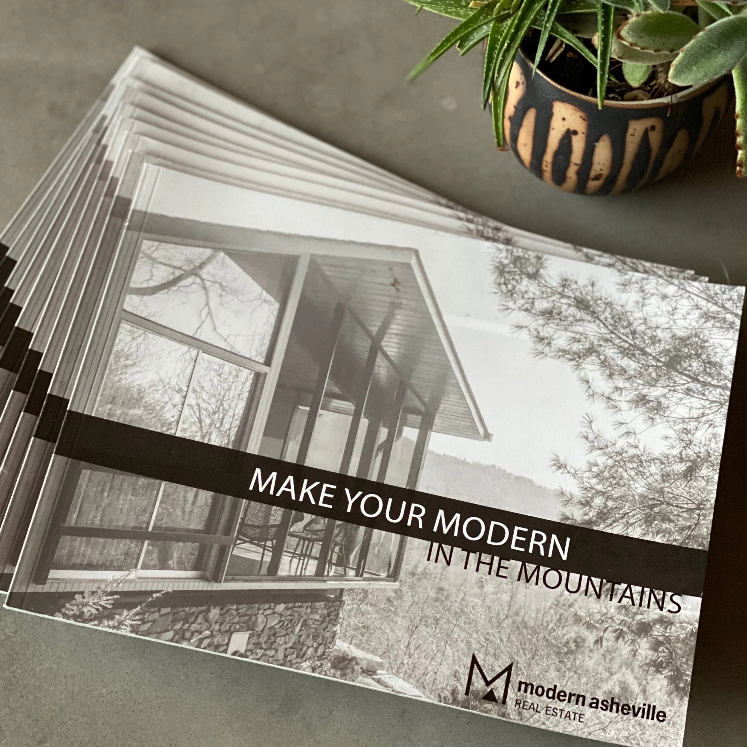 Modern Asheville Real Estate in Asheville, NC (5)