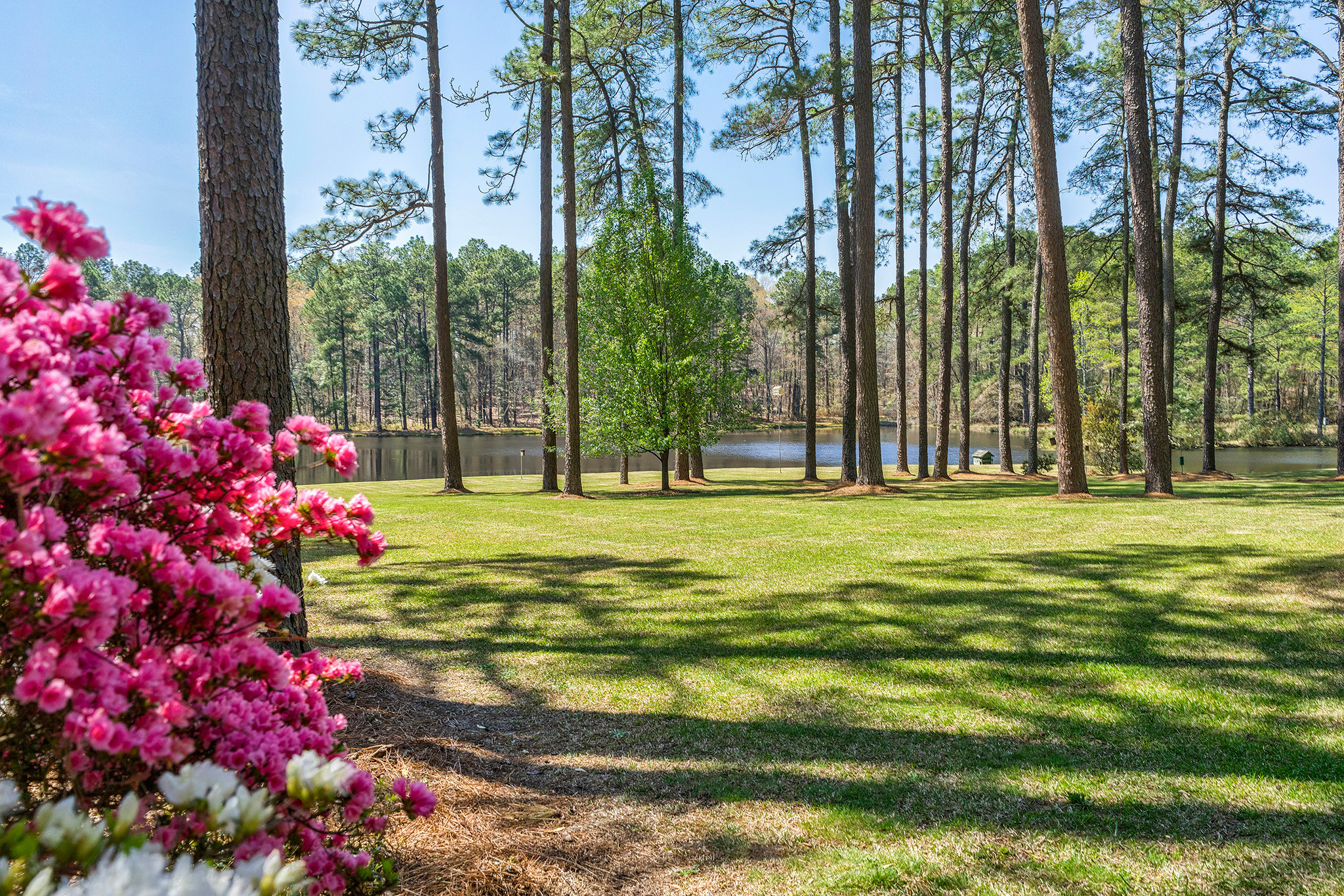 DeSell & Co. Realty Group in Southern Pines, NC