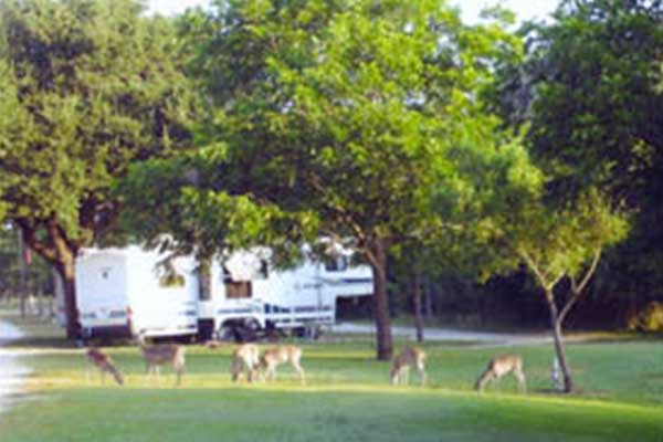 Skyline Ranch RV Park in Bandera, TX (4)