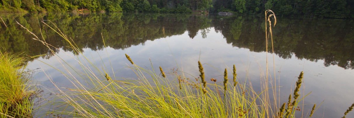 Liz Odum Realty LLC in Richburg, SC (5)