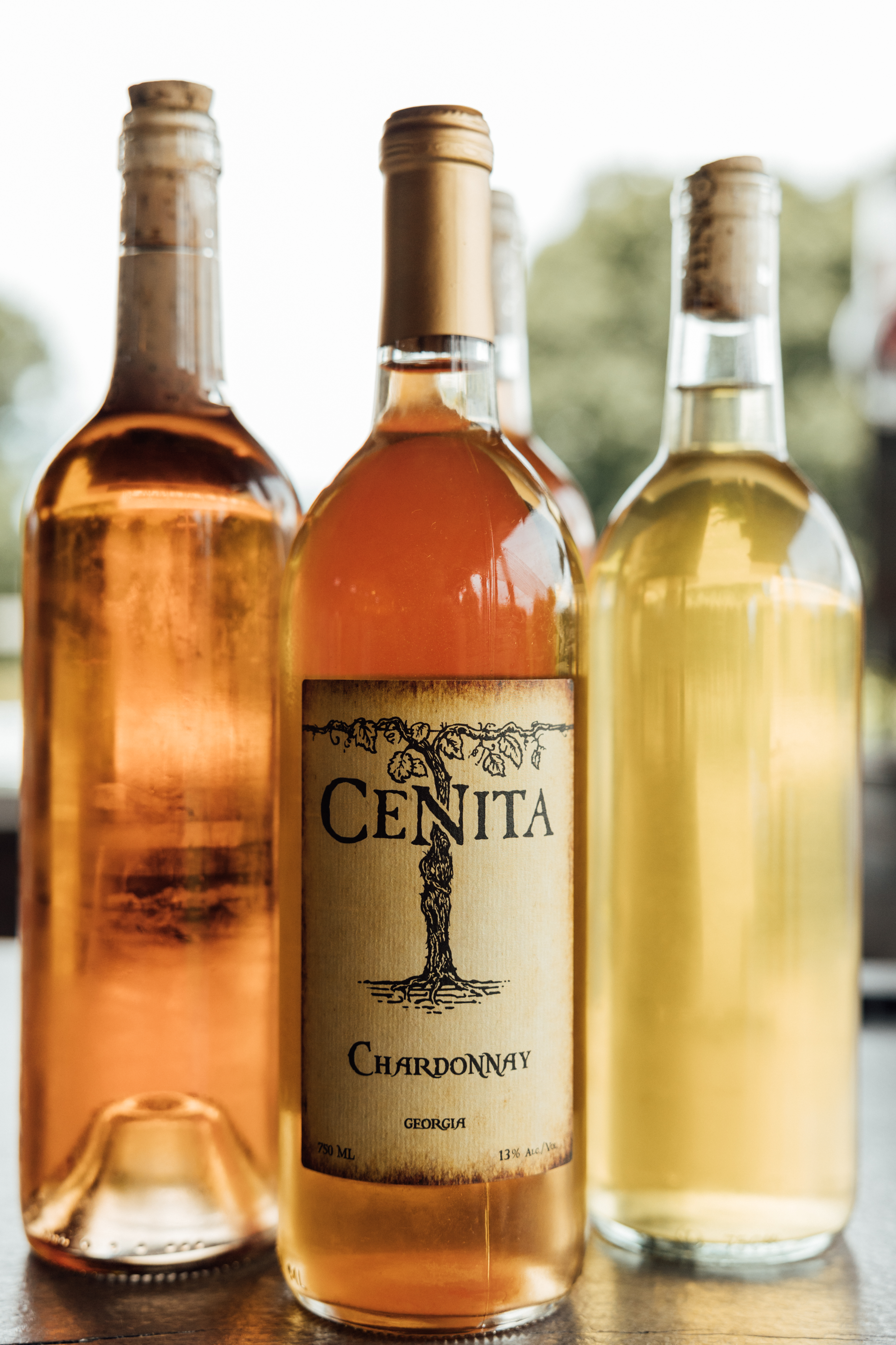 CeNita Vineyards, Winery & Tasting Room in Cleveland, GA (3)
