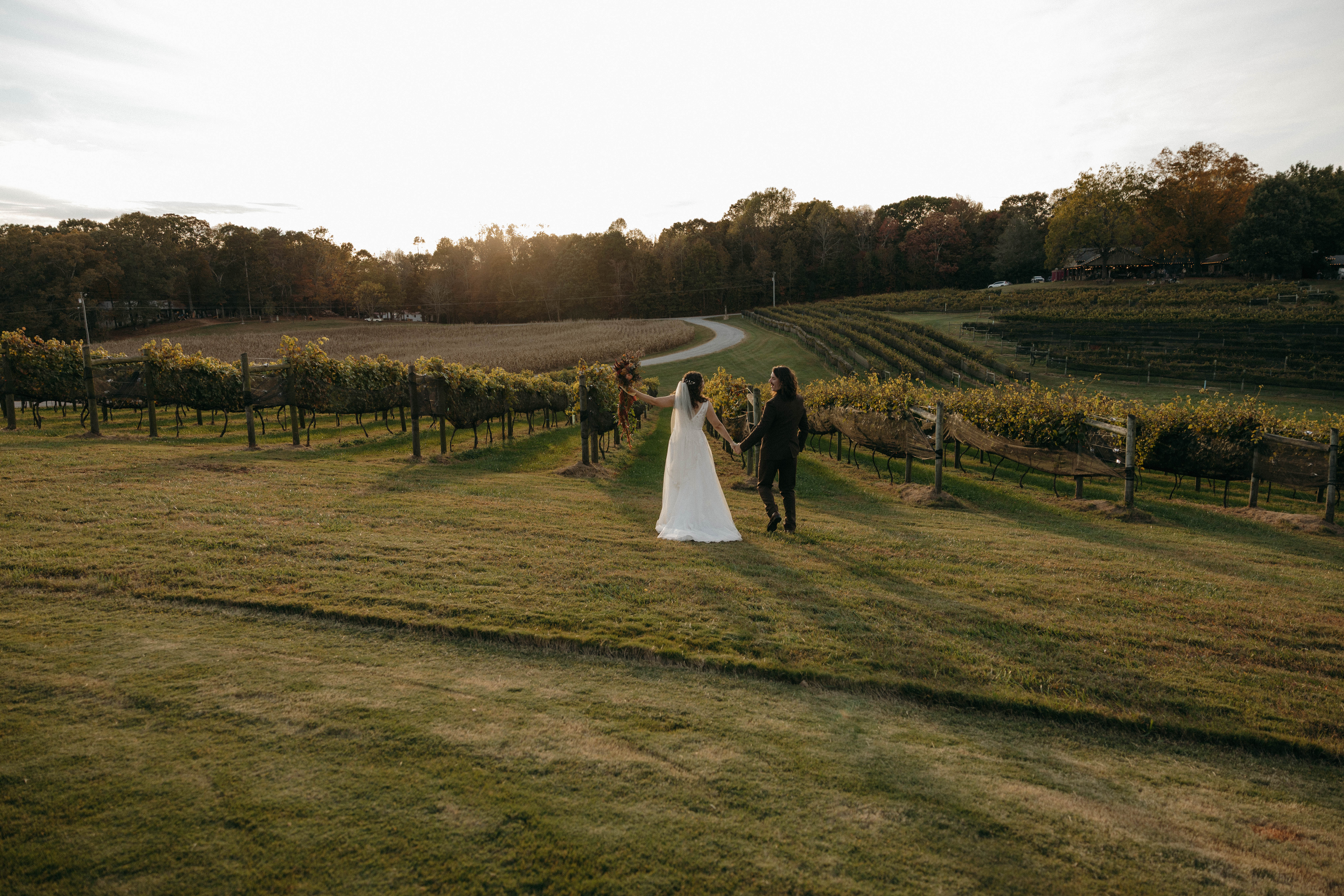 CeNita Vineyards, Winery & Tasting Room in Cleveland, GA (4)