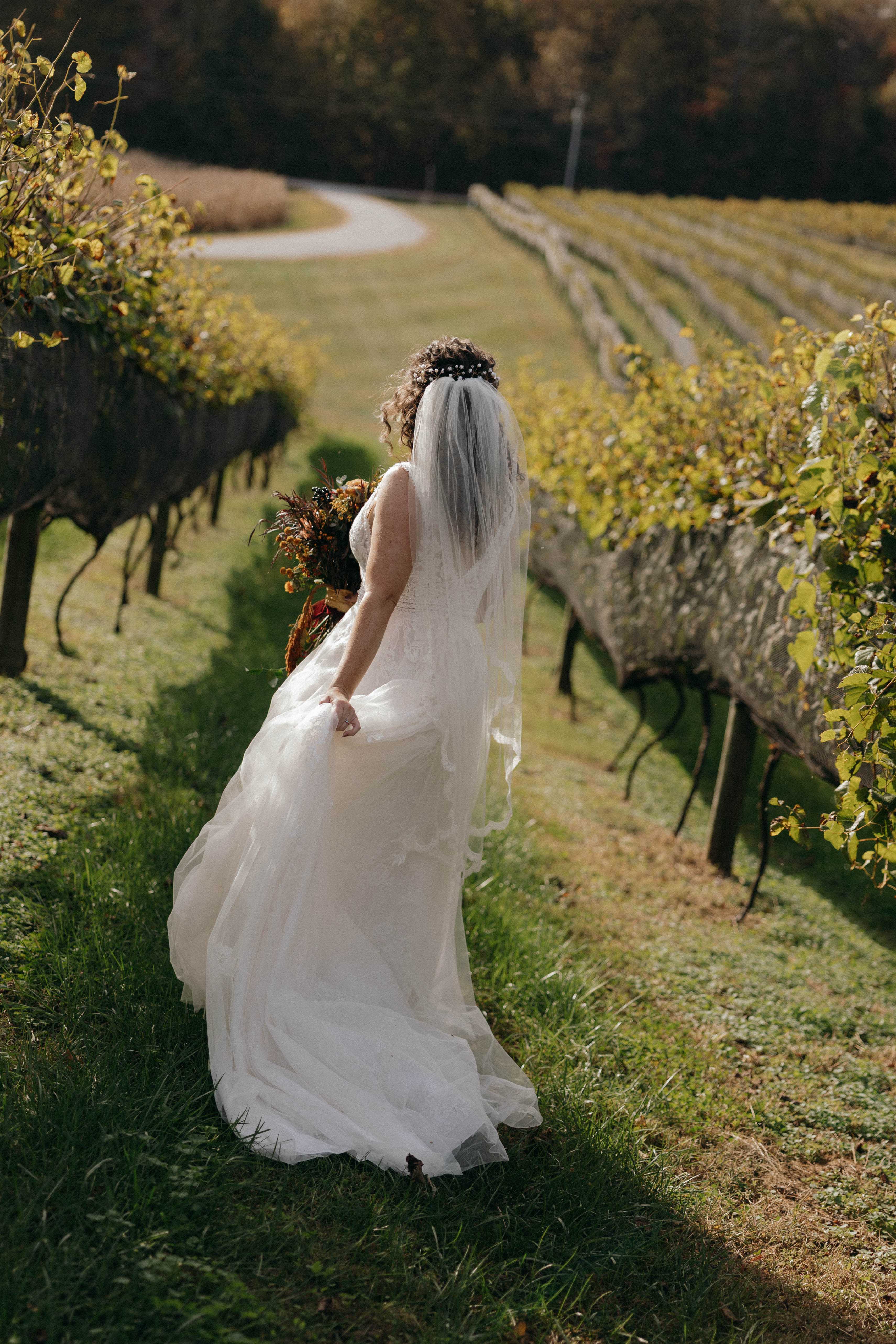 CeNita Vineyards, Winery & Tasting Room in Cleveland, GA (5)