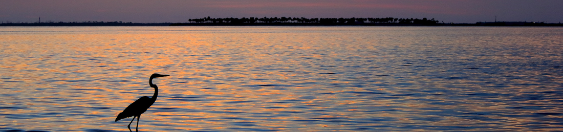 Coastal Properties Group International in Indian Rocks Beach, FL (5)
