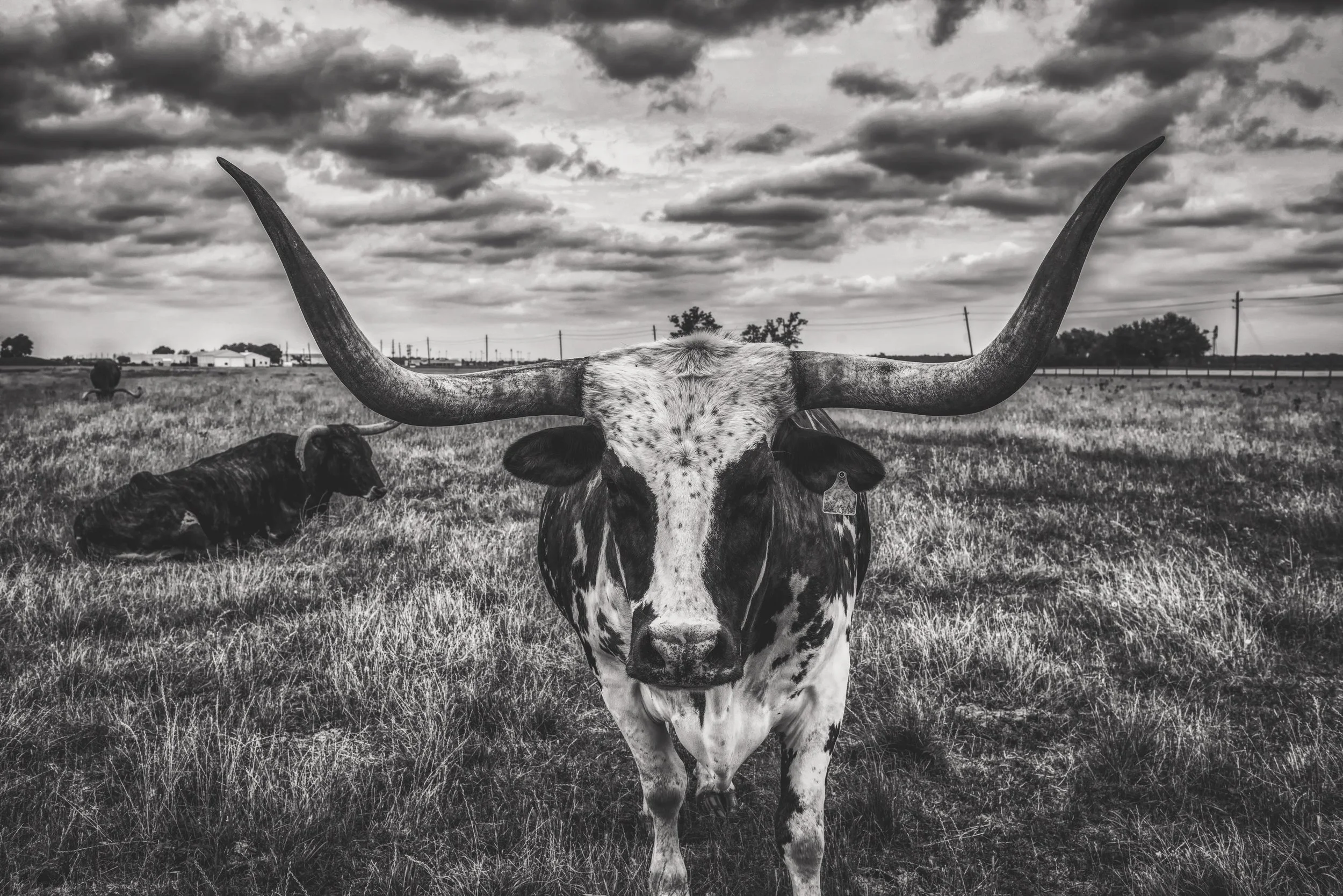 Briscoe and Associates LLC in Stephenville, TX