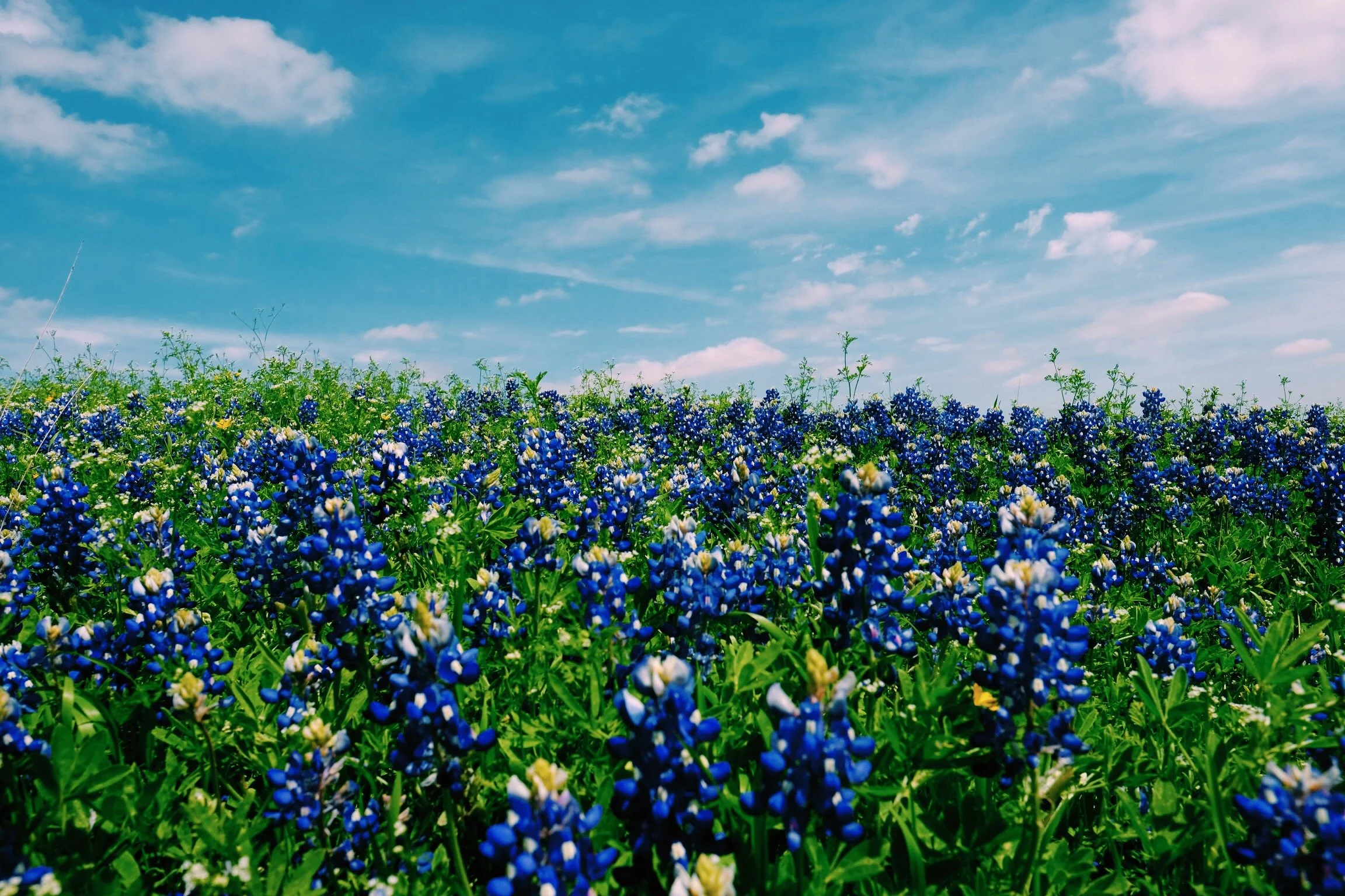 Briscoe and Associates LLC in Stephenville, TX (2)