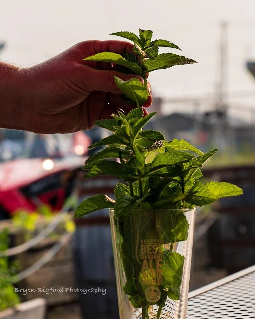 Shovel City Drinkery in Marion, OH (6)