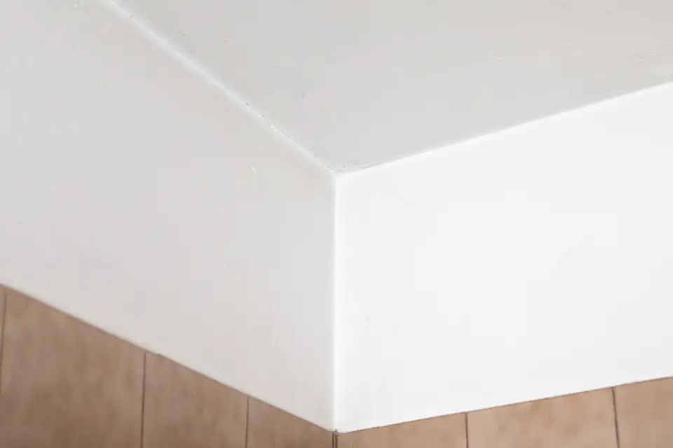 All Pro Property Solutions LLC in Taylor, MI (5)