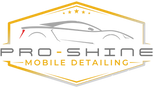 Pro-Shine car care & mobile detailing LLC in Lenhartsville, PA (5)