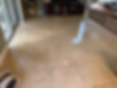 Nina's Ultimate Cleaning Service - in Tampa, FL (4)
