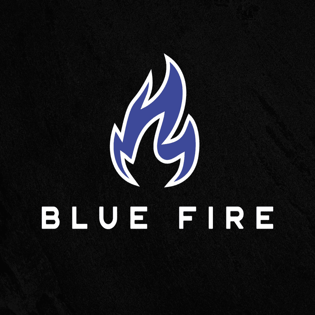 Blue Fire Restaurant in Elmwood Park, IL (3)
