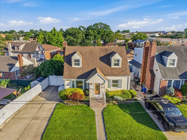 ANN ACQUAVIVA Real Estate Agent at Real Broker NY LLC in Bellerose, NY (6)