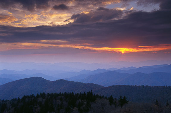 CAROLINA MOUNTAIN BROKERS in Franklin, NC (2)