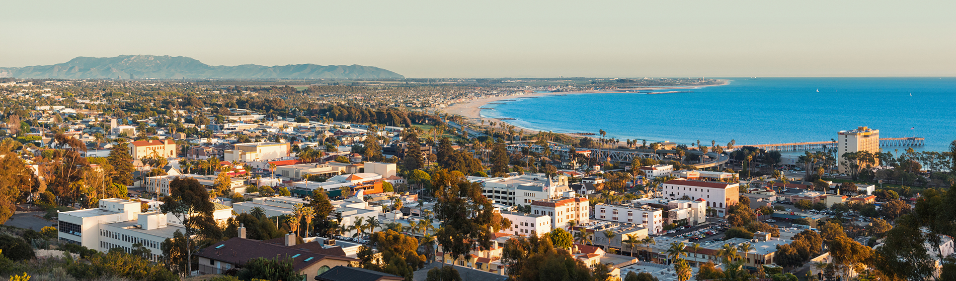 Willie Schmeltz - RE/MAX Gold Coast Realtors in Camarillo, CA