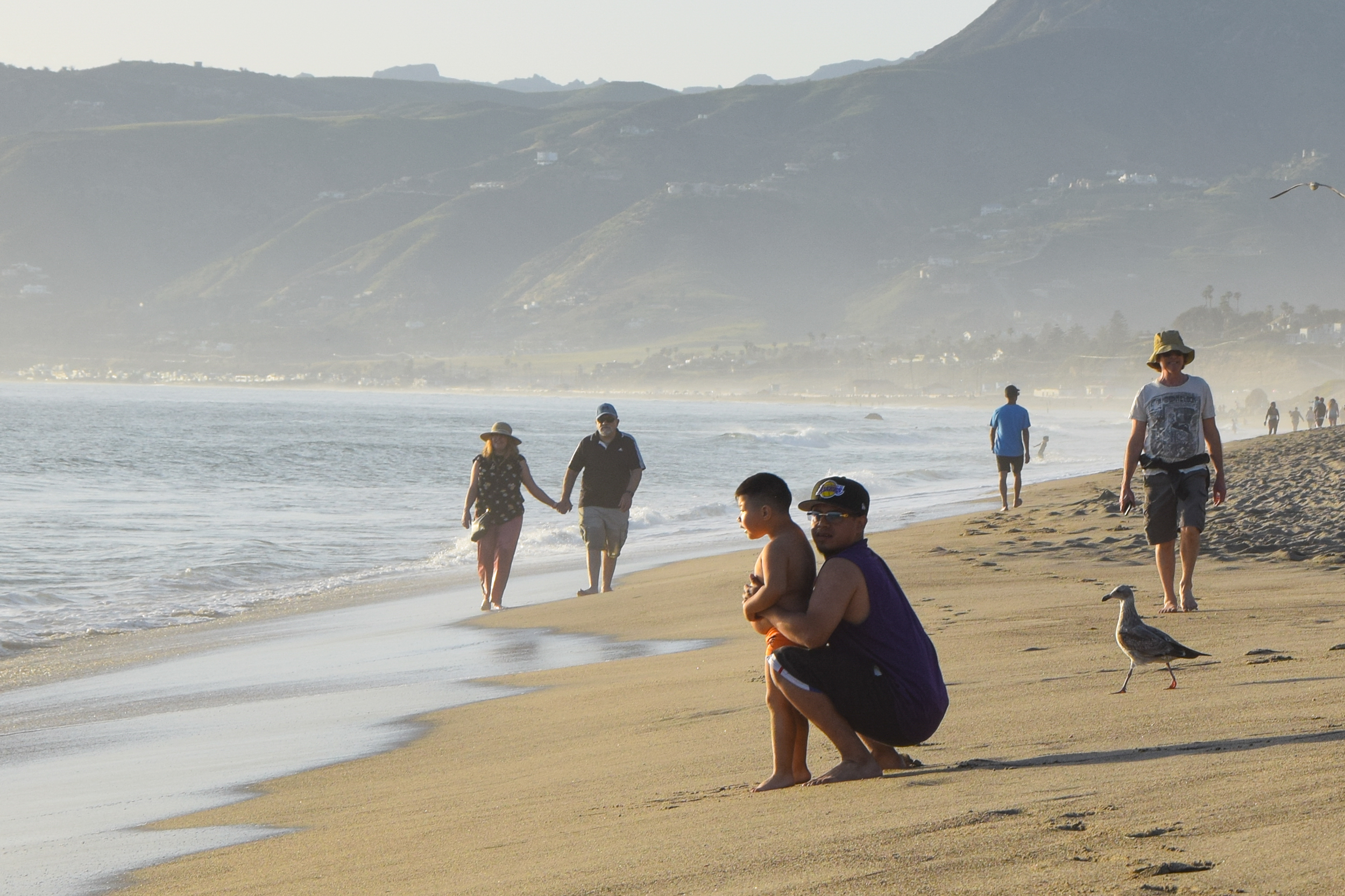 Island View Law in Carpinteria, CA (3)
