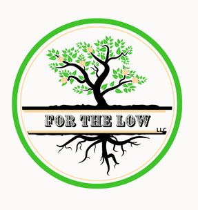 For The Low Mobile Detailing & Pressure Washing in Land O Lakes, FL (3)