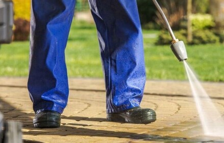 For The Low Mobile Detailing & Pressure Washing in Land O Lakes, FL (4)