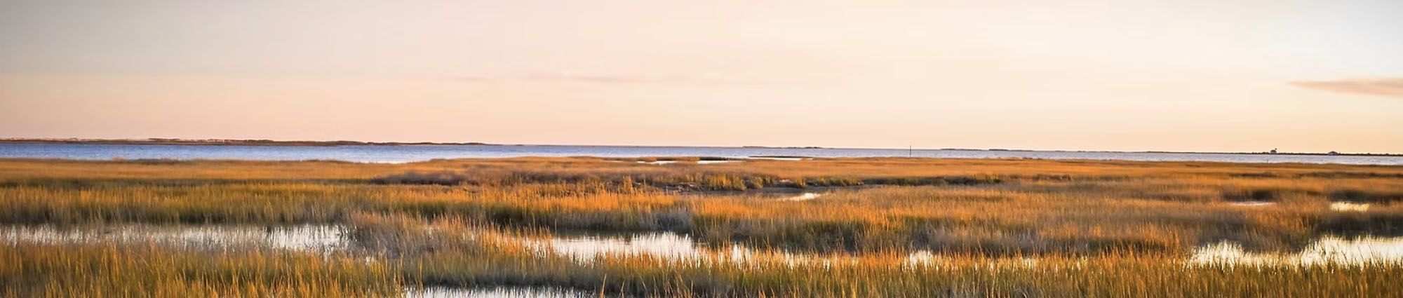 Boshaw Law Firm LLC in Bluffton, SC (5)