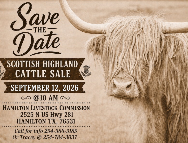 Hamilton Commission Company in Hamilton, TX
