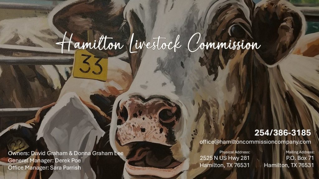 Hamilton Commission Company in Hamilton, TX (2)