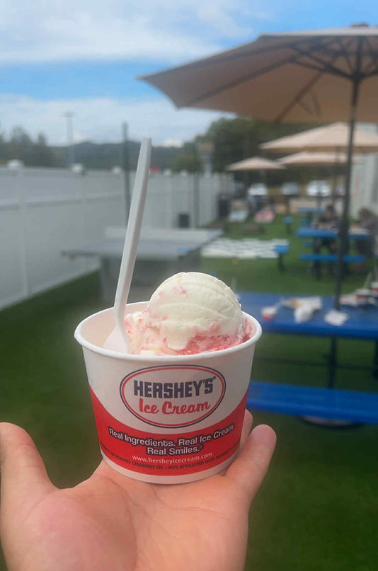 Sweet Escape in Summersville, WV (4)