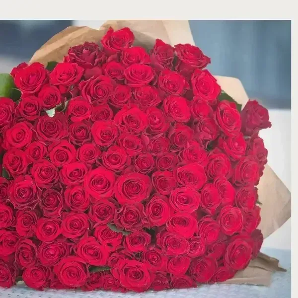 Blake Roses in Sunny Isles Beach, FL (6)