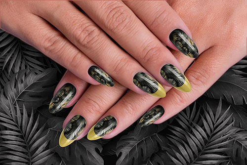 Beverly Hills Premier Nail Salon Pittsburgh in Pittsburgh, PA (5)