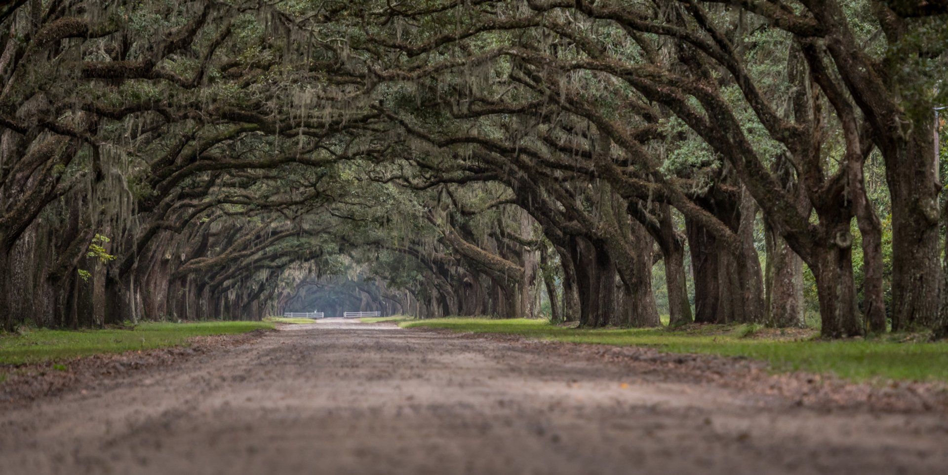 Wilson SC Law Firm, PA in Hilton Head Island, SC (2)