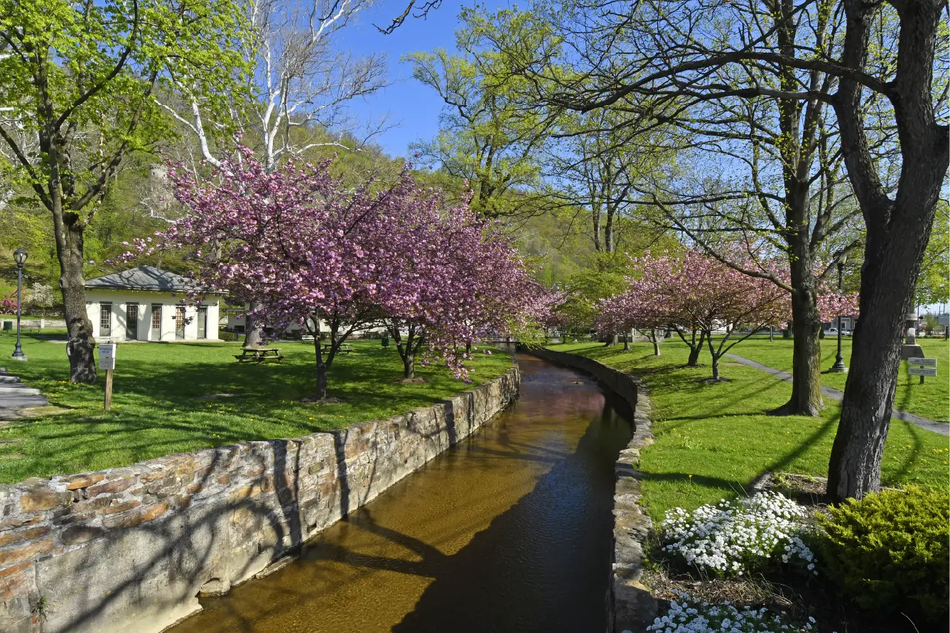 Mountain Home Real Estate, LLC in Berkeley Springs, WV